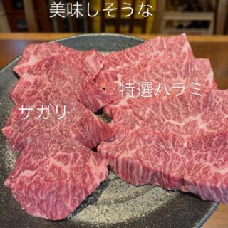 上サガリ　特選ハラミ　その日によ…